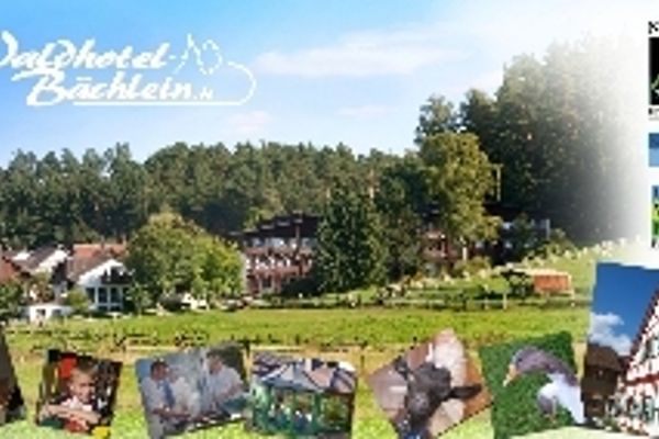 Waldhotel Bächlein (Mitwitz)